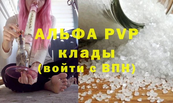 тгк Горно-Алтайск